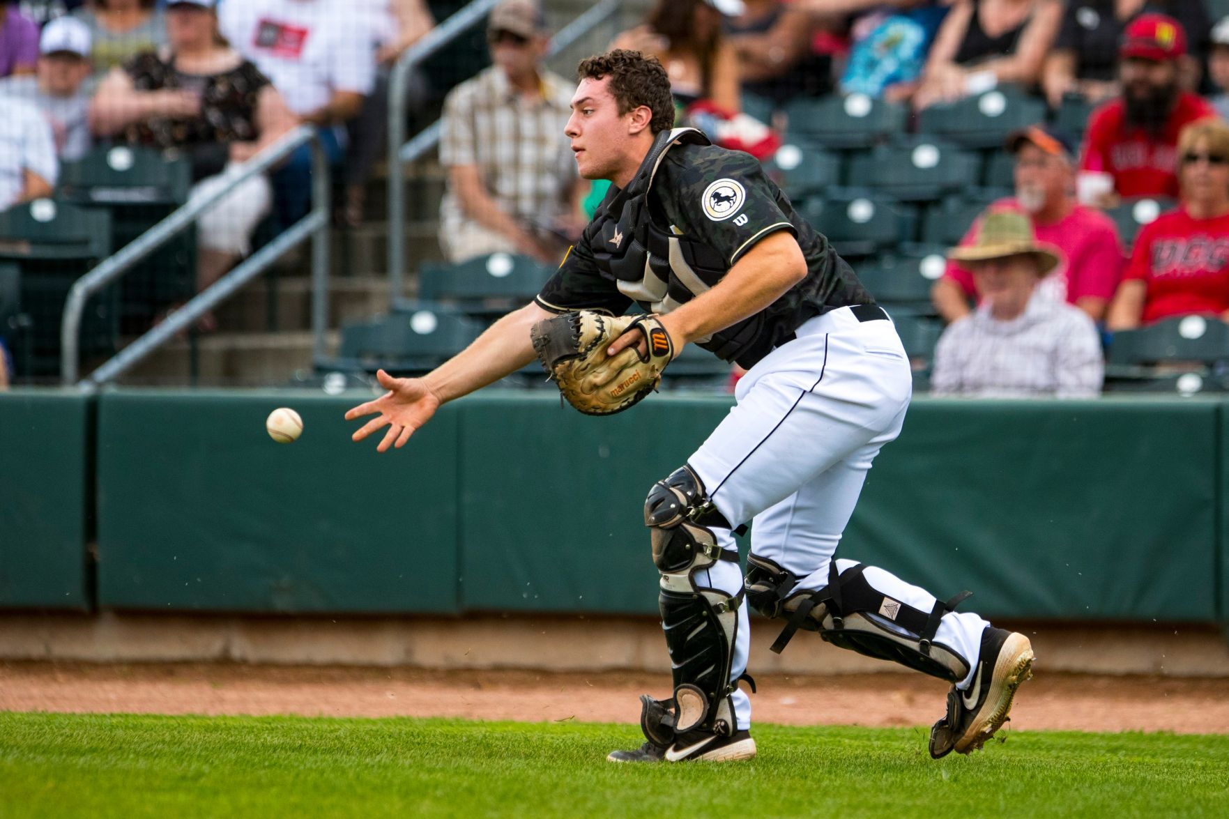 Billings Mustangs vs. Rock Mountain Vibes